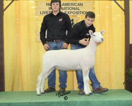 2019 Futurity Winner<br />
Jayce Coers